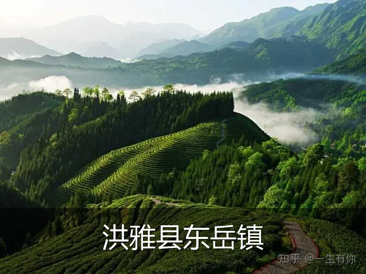 洪雅县东岳镇